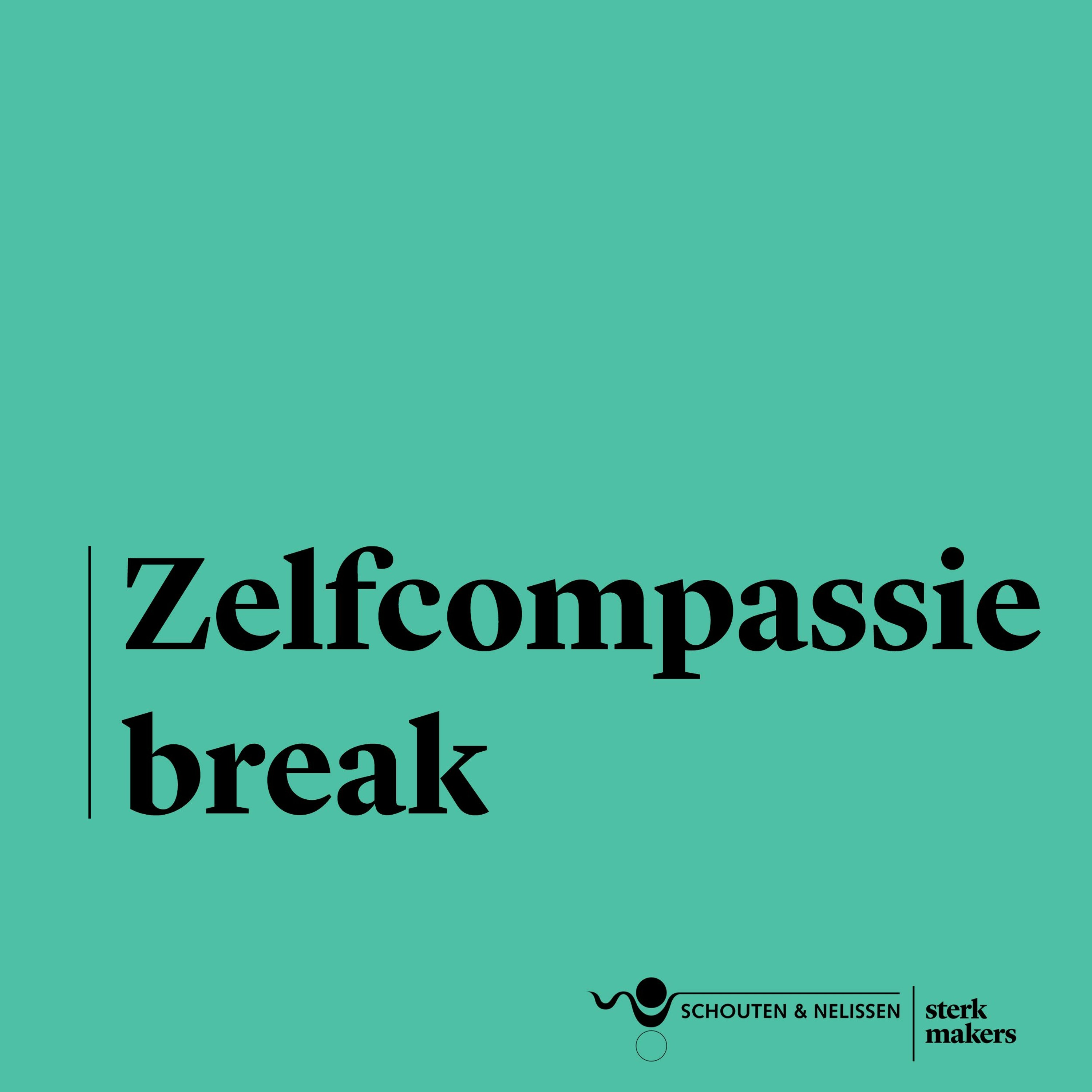 Schouten & Nelissen Podcasts