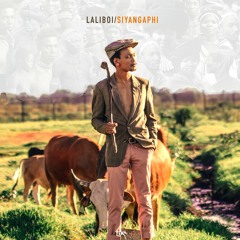 Laliboi - Blues for Bra Kippie