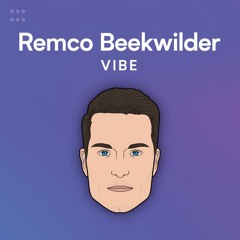 Remco Beekwilder Vibe