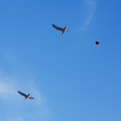 And then we danced•(Jonny boy)•