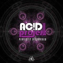03 - AcidProjekt - You Are The Truth And The Light