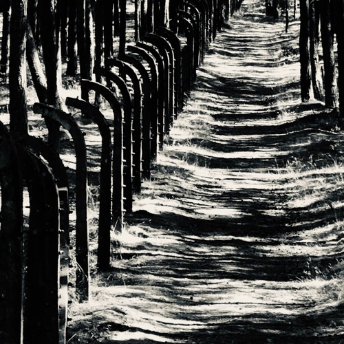 Andy macht @ read (unmastered)