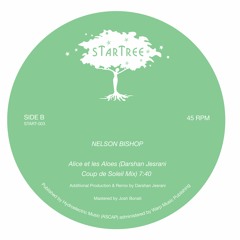 PREMIERE: Nelson Bishop - Alice et les Aloes (Darshan Jesrani Coup de Soleil Mix)