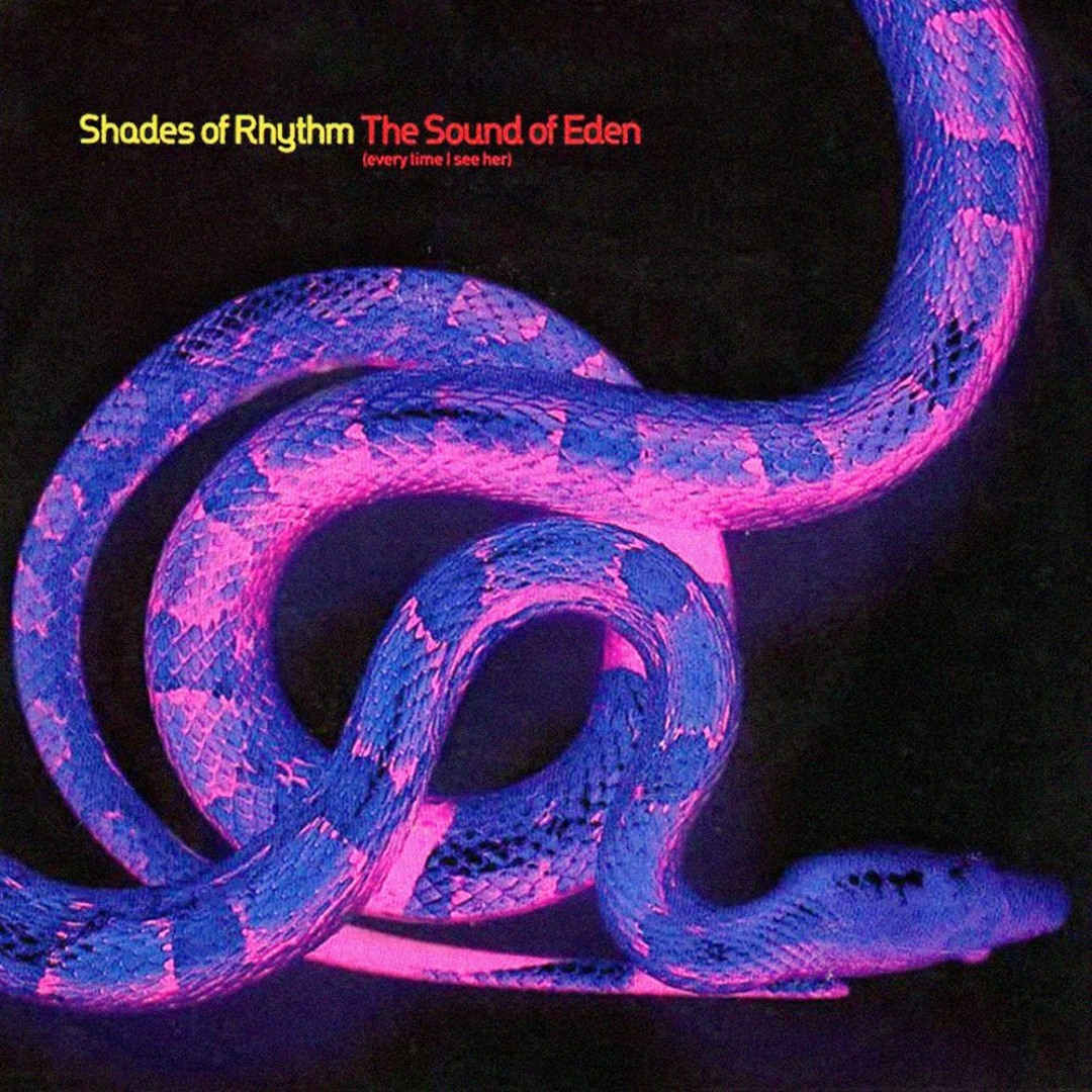 爆売り！ Stream See I Time (Every Eden of Sound - Rhythm Of Shades その他