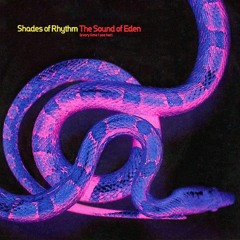Shades Of Rhythm - Sound of Eden (Every Time I See Her)[Original Press/1991]