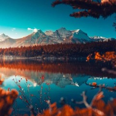 سرب من الاوز لفريد لويد كوشران