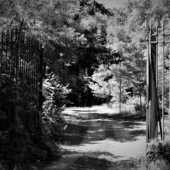 Retour d'Est - Les âmes Endeuillés