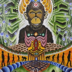 ‏‏DanDoosh - The Next Evolution