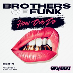 Brothers Of Funk - How We Do(PREVIEW)