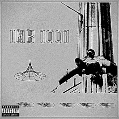 MIERNØ - INK1001