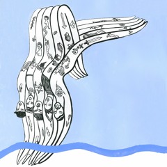 Stephane Salerno & Kader Denednia - El Jawza