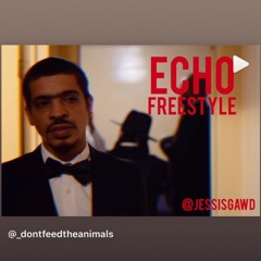 Echo Freestyle (DontFeedTheAnimals)