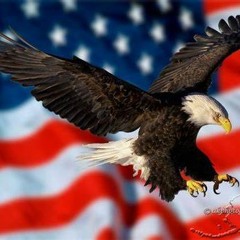 Spread Your Wings  America
