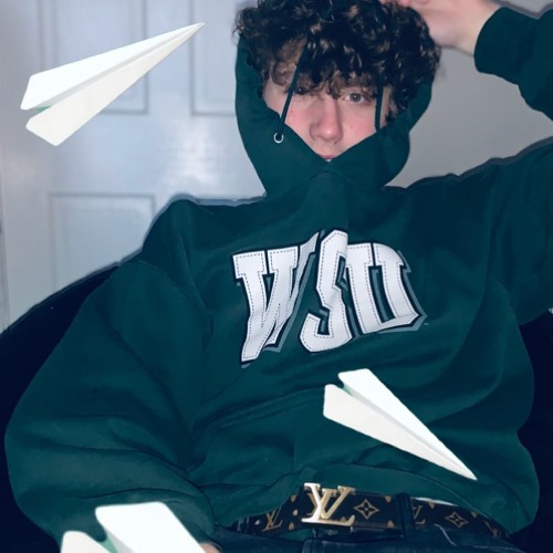 Paper Planes