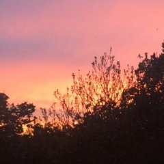 Flex With Me (prod. CapsControl)