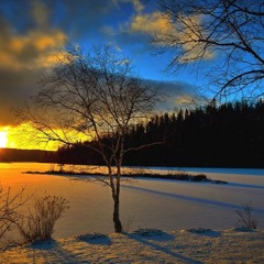 Maki & Dani Feat. Csaba - 3Monkeys(Original Mix)