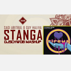 Flux Pavilion X NGHTMRE & Sagi Abitbul & Guy Haliva - Feel Your Stanga Mashup