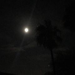 the moon song (Karen O.) cover by laura lu