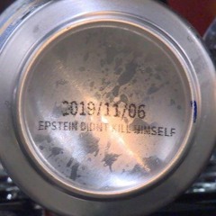 JEFFREY EPSTEIN DIDN'T KILL HIMSELF