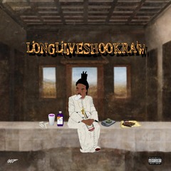 LongLiveShookRaw (prod. BT)