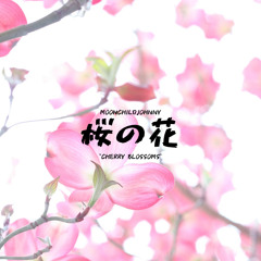 cherry blossoms 🌸 (桜の花)