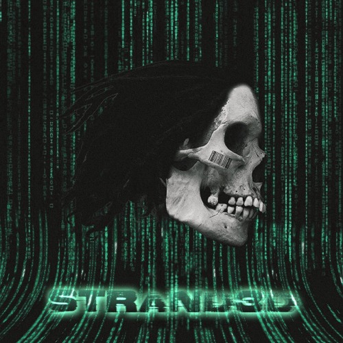 STRAND3D
