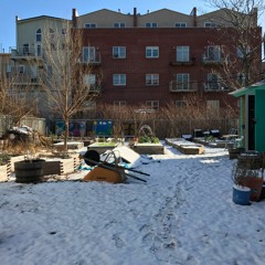 DJ Noah - Mr. Moustache