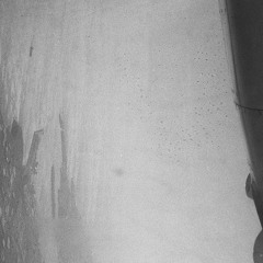 NervusVagus,LabelFeedbackstudio,2013