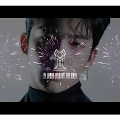 X1 - FLASH (Trophy Cat Remix)