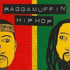 Elephant Man -Pon Di River(Remix Raggamuffin Hip Hop Junkee)