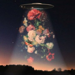 Delirios en el cielo