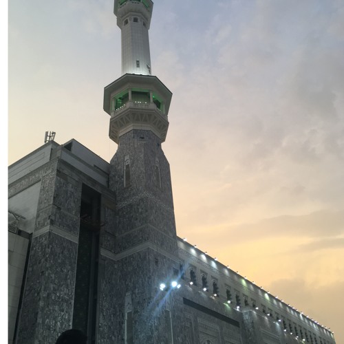 ان مسنا الضر