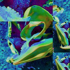 Flume - Rushing Back (Rawdia Remix)