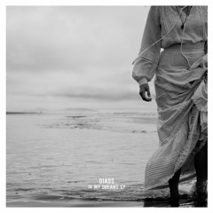 PREMIERE: Diass — In My Dreams (Original Mix) [Bercana Music]