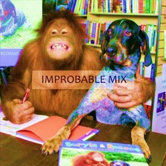 Improbable Mix - eclectic, electronic mixed with organic