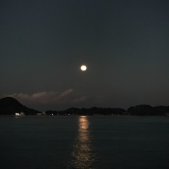 Moonlight night chill <Japanese hip hop mix>