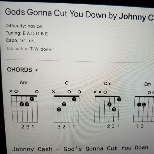 johnny cash cut you down