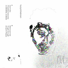 fuzzylittlebrain - Metroverride