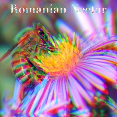 Romanian Nectar