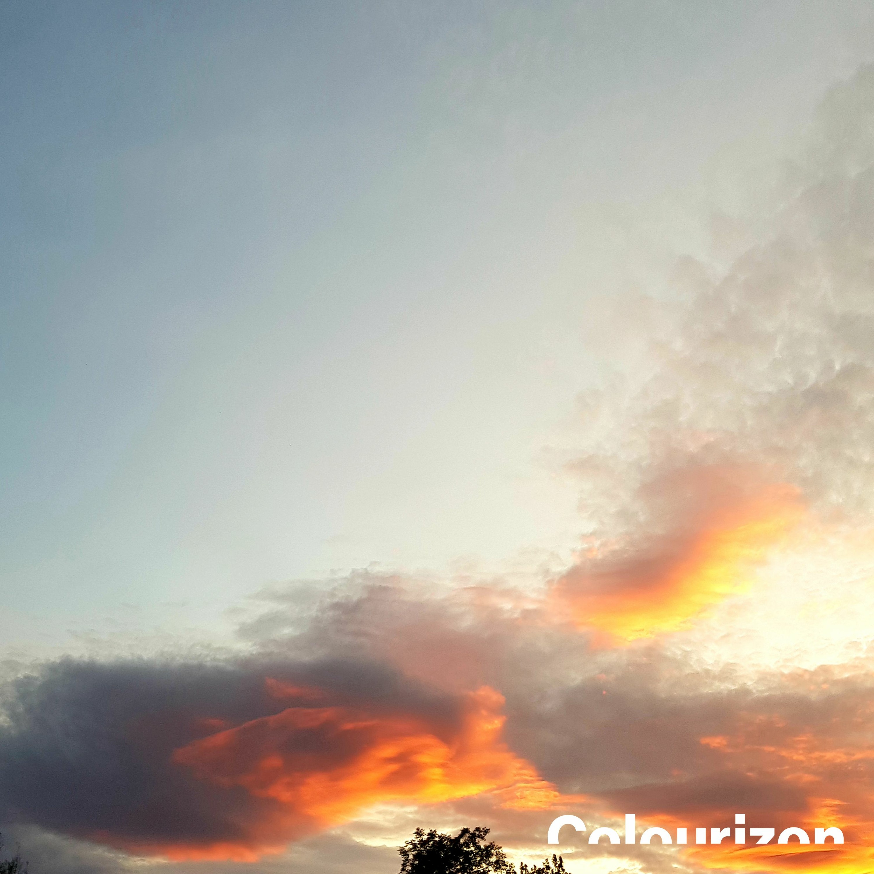 COLOURIZON