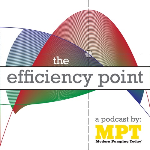 Stream episode Episode 2: WEF President-elect Lynn Broaddus on the ...