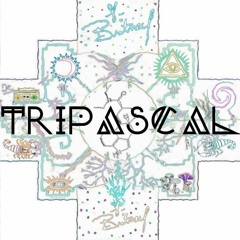 TriPascal - Dj set sueño En ToroToro