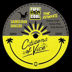 PREMIERE: Paper Street Soul - Moonpig (Simon Mills Remix) [Citizens Of Vice]