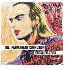 Permanent Confusion / Enossification