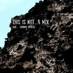 This Is Not...A Mix - 005 [Pagi Indah by Liminal Spaces]