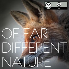 Another Step Back (CC-BY 4.0 | Free Music for Games and YouTube Videos)