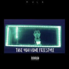 Take Me Home Freestyle