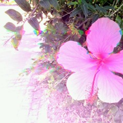 flawed (Lido - Flaws Remix)