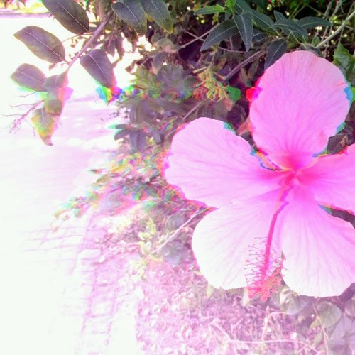 flawed (Lido - Flaws Remix)