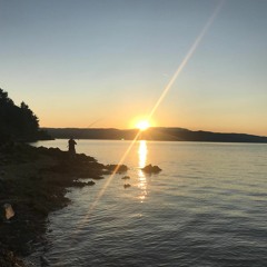 SYNERGY Shame On You (2005)